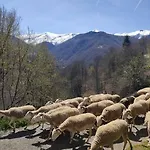 La Grange De L'ours Saint-Lary (Ariege)