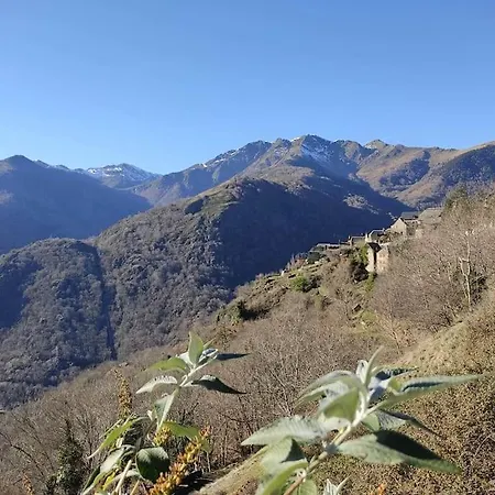 La Grange De L'ours Saint-Lary
