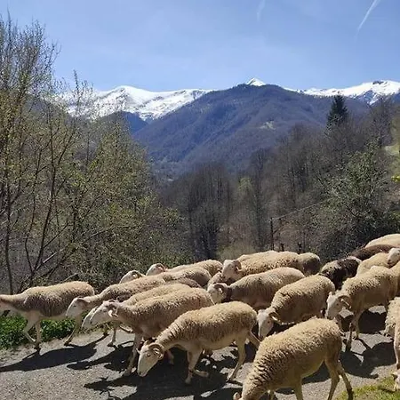 La Grange De L'ours سان-لاري