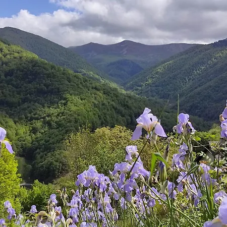 La Grange De L'ours *