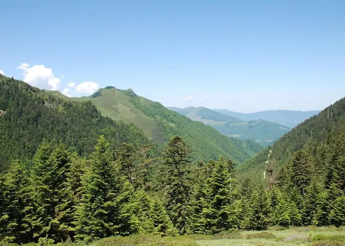 La Grange De L'ours * Saint-Lary-Soulan