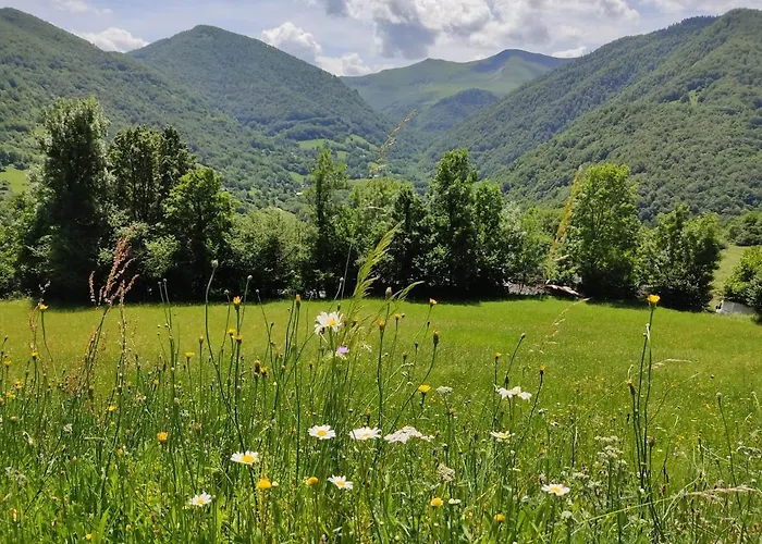 La Grange De L'ours Saint-Lary-Soulan