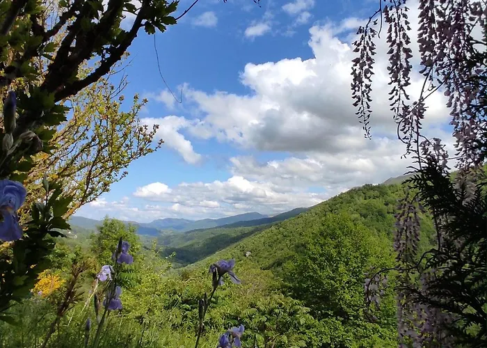 La Grange De L'ours 펜션 *