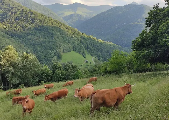 Vakantiehuis La Grange De L'ours Saint-Lary-Soulan