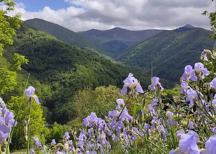 La Grange De L'ours *